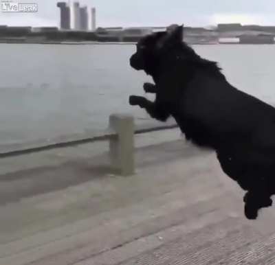 Miscalculated jump.