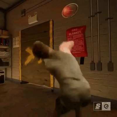"explain R6 with a short video."