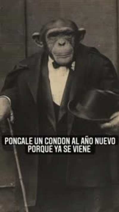Un a&ntilde;o mas