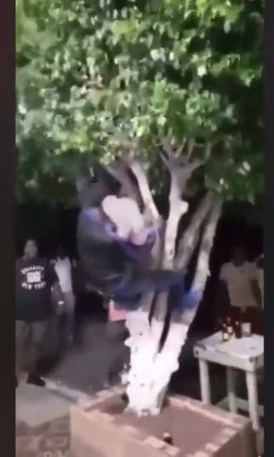 Maybe Maybe Maybe