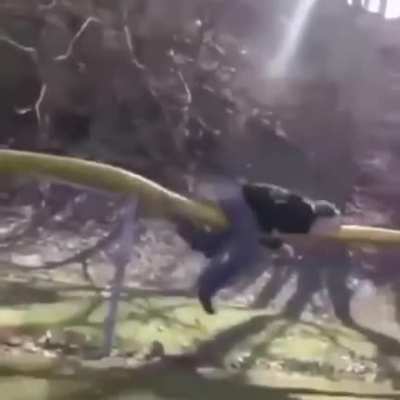 HMFT after I jump from a to high building