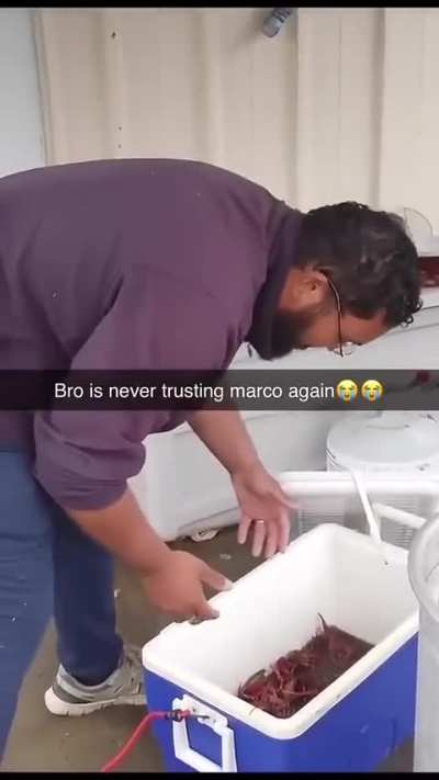 Marco's advice is always sound.