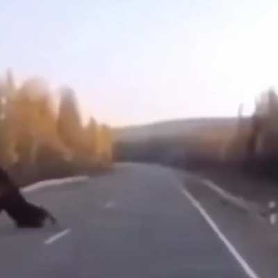 Два оленя