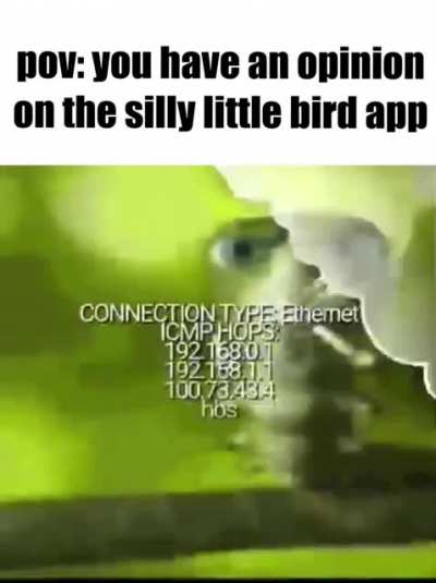silly little bird app