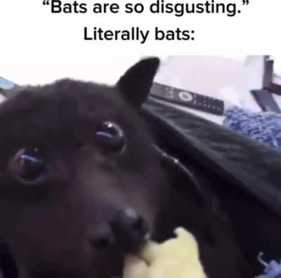 Why hate?