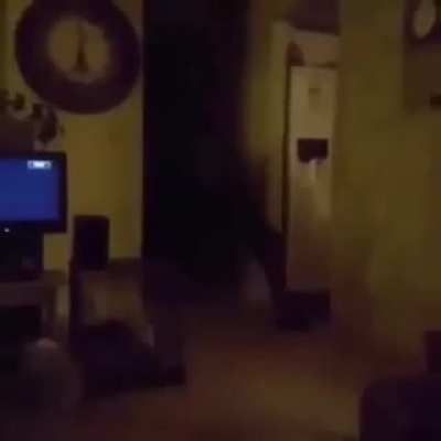 Cursed_human