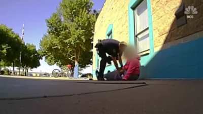 Officer attacks 11 year old girl for "assault"
