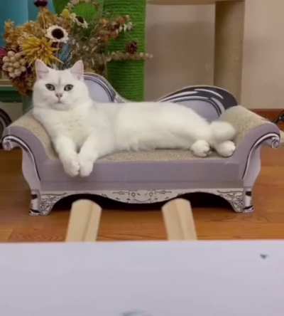 &ldquo;Paint me like one of your French girls&rdquo;