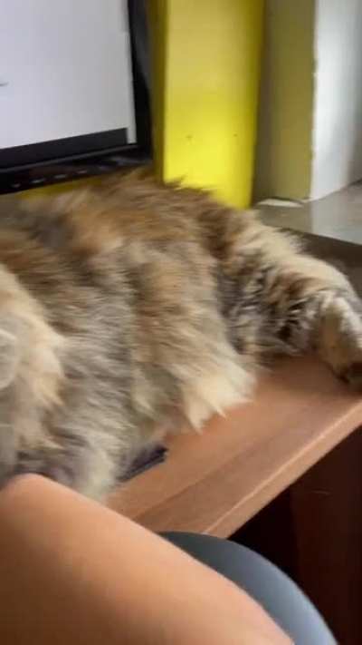 My right loaf
