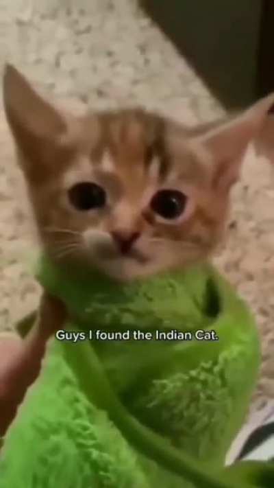 🗿