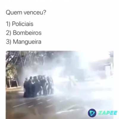 Eu aposto na mangueira