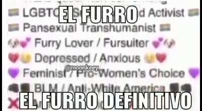 es el dia del furro