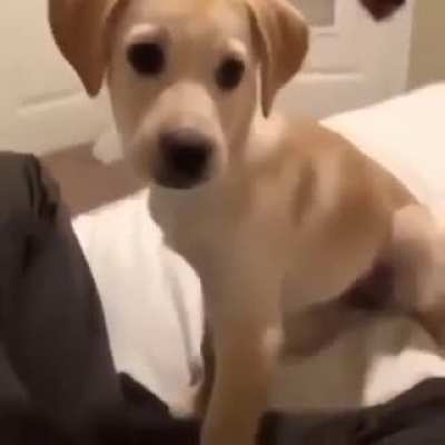 What a cute do&hellip;
