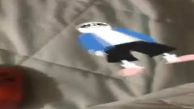 Sans Seizure