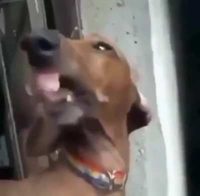 Ruuuule