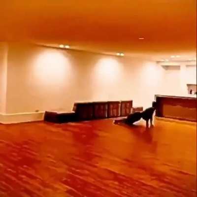 The crawl at the end lmao