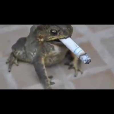 Bro really said “🚬🚬🚬”