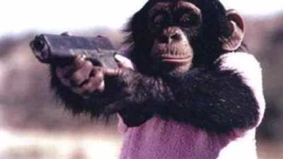 pistol monkey squad