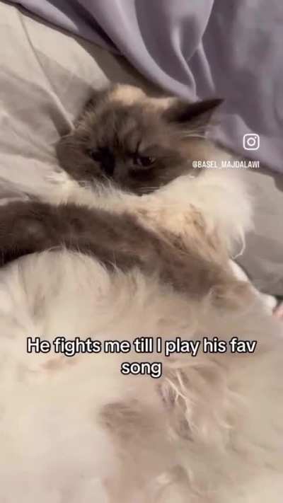 Average Mitski listening experience
