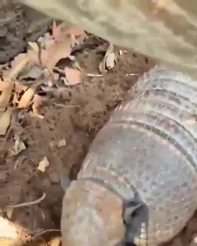Eae beleza?