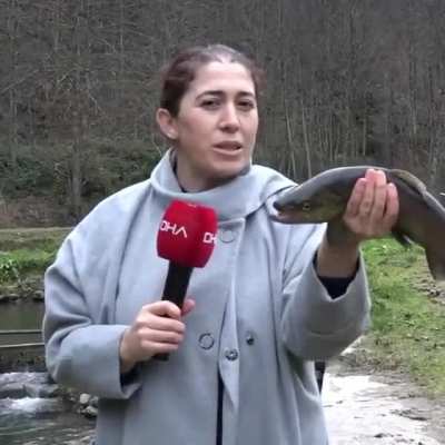 Abla napıyorsun amk t&uuml;kenmemiş işte salsana hayvanı amk t&uuml;kenicek elinde