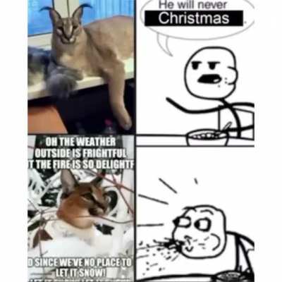 Christmas season