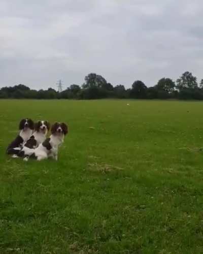 Maybe maybe maybe