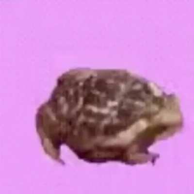 Hotline froge