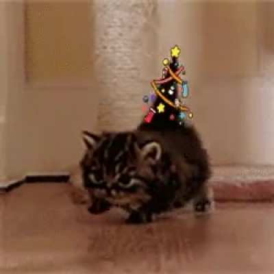 Merry Christmas!