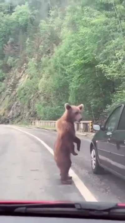 "Oh naw they filmin. Nevermind."