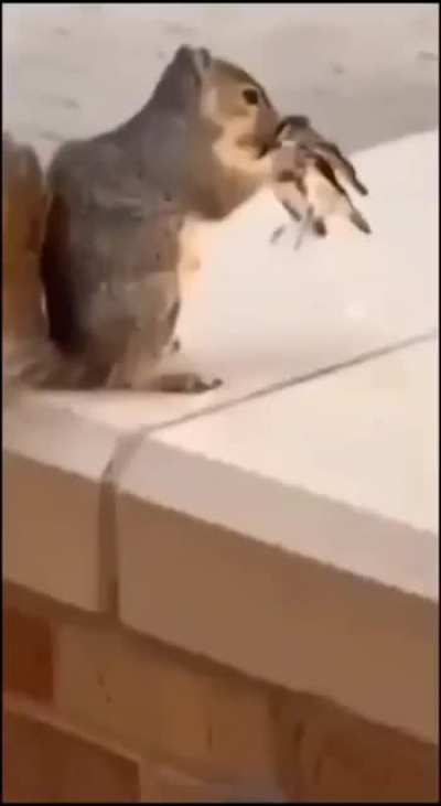 ??????? 6.0