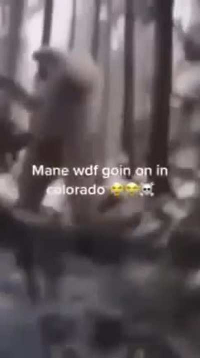 Colorado 💀💀💀