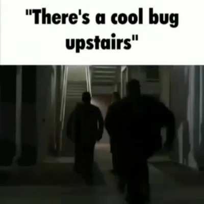 Bugg