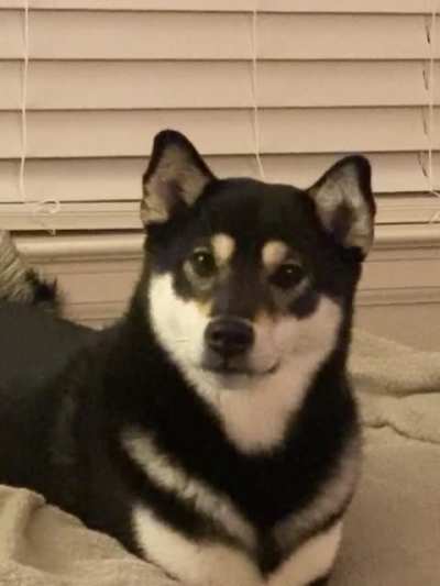 Excuse me... where&rsquo;s my treat?