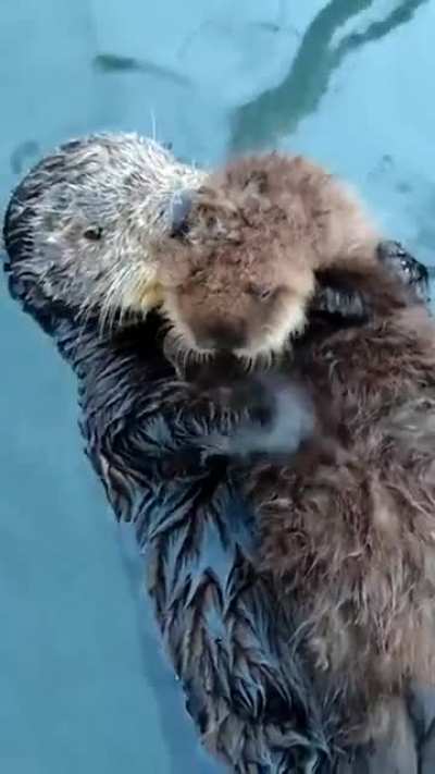 Adorable