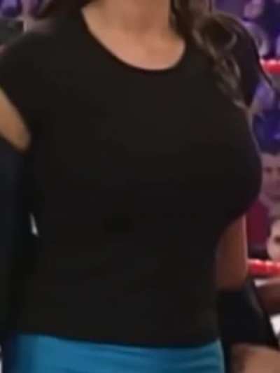 Stephanie McMahon&rsquo;s huge tits