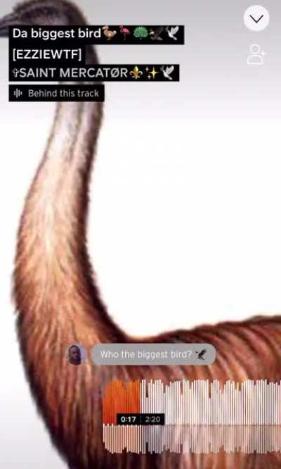 Ignore how ass the song is but do this sound like Bruce or is I&rsquo;m tweakin 🤔