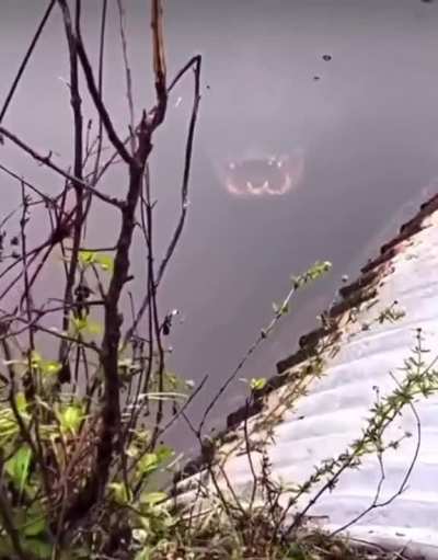 Just be careful to not slip in these waters!