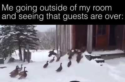 Not today