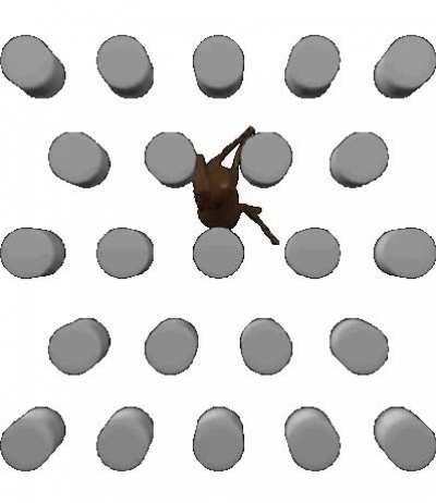 Rule