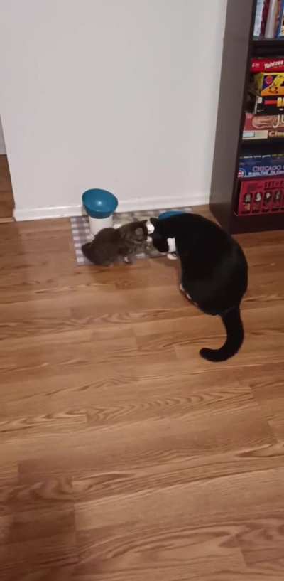 Throwback to my guy teaching the newbie proper hygiene