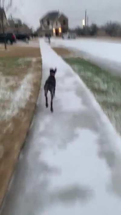 So I went to check the snow from the last night (I&rsquo;m in the DFW area), and then this happened&hellip;