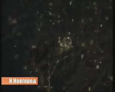 Домой, спать.
