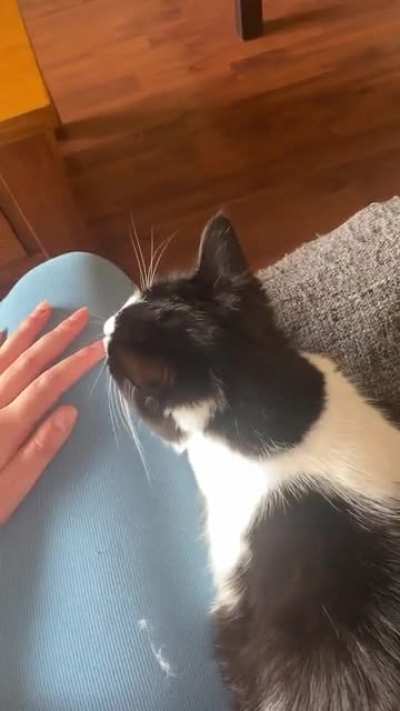 I&rsquo;ve had Gigi a week&hellip;. I think she likes me