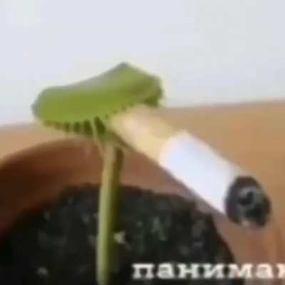 Hola que tal