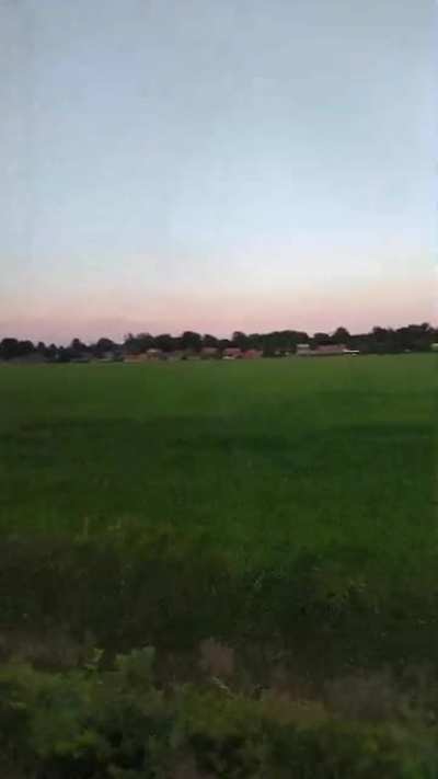nature