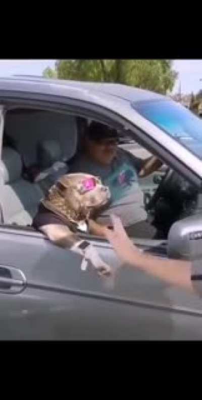 Facha m&aacute;xima 🤑😎