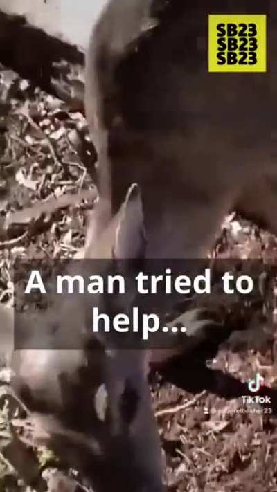 This deer was stuck for 4 hours&hellip;