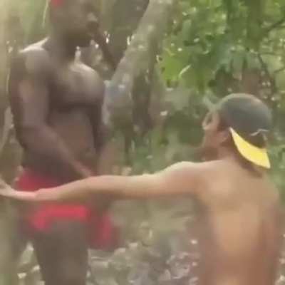 Um cl&aacute;ssico Brasileiro