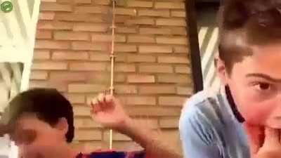 los que nacen de m&eacute;dula &oacute;sea